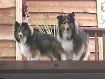 [Kelsey and Brigett]